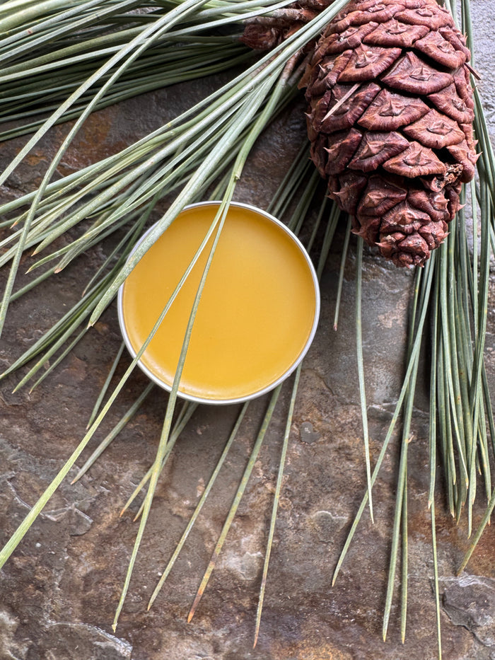 Honey Lip Salve (Tin)