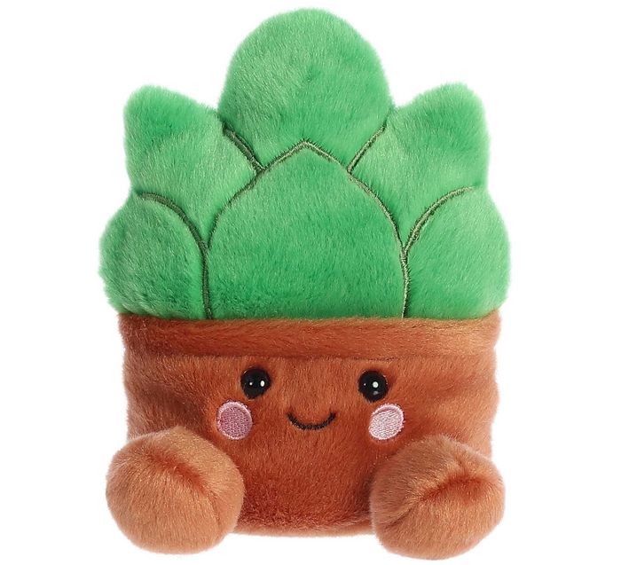 Gigi Succulent