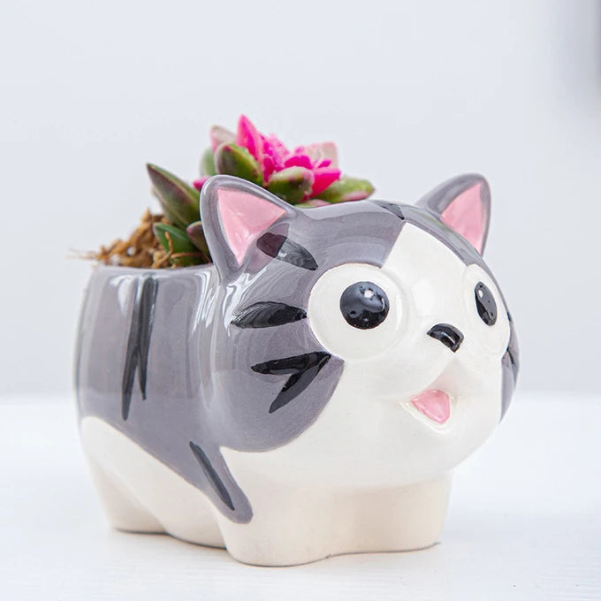 Gray Kitty Faux Succulent Planter