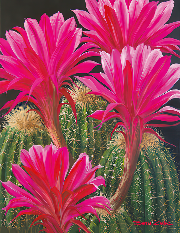 Hot Pink