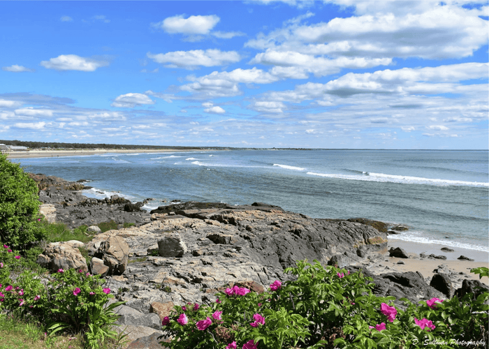 Marginal Way Lighthouse Greeting Card