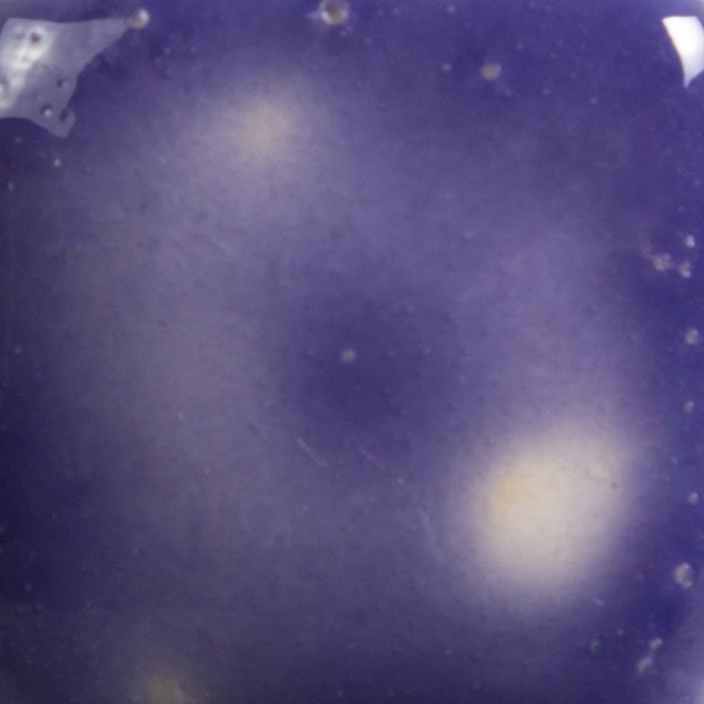 S2723 - Grape Divine