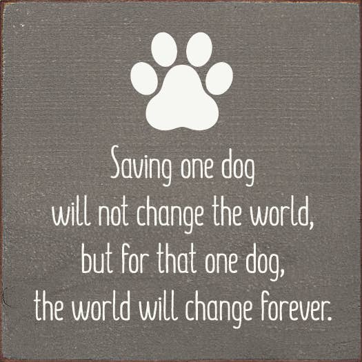 Saving one dog will not change the world... Square Sign