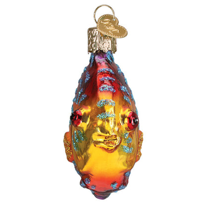 Discus Fish Ornament