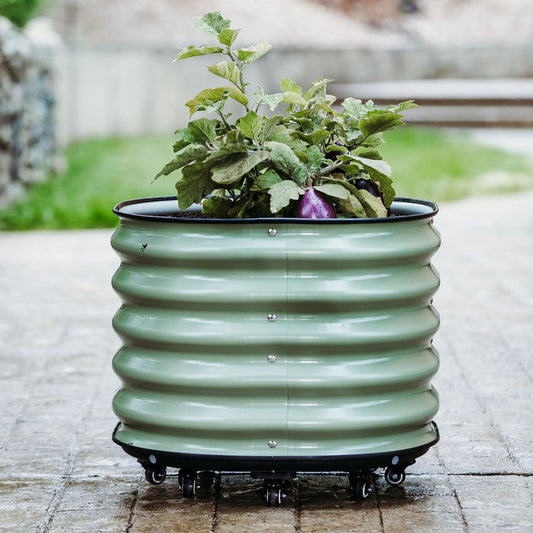 17" Tall Rolling Planter