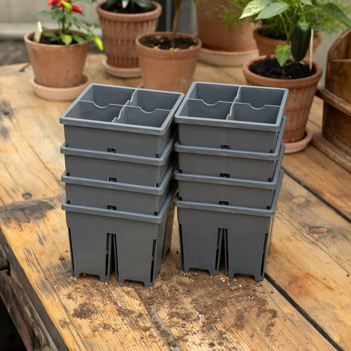 4-Cell Seed Starter Set