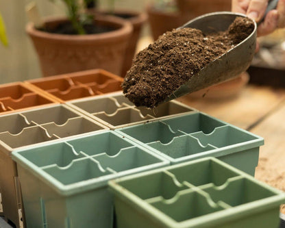 4-Cell Seed Starter Set
