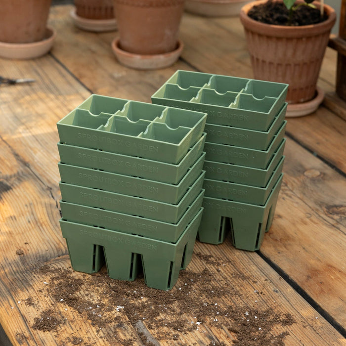 6-Cell Seed Starter Set