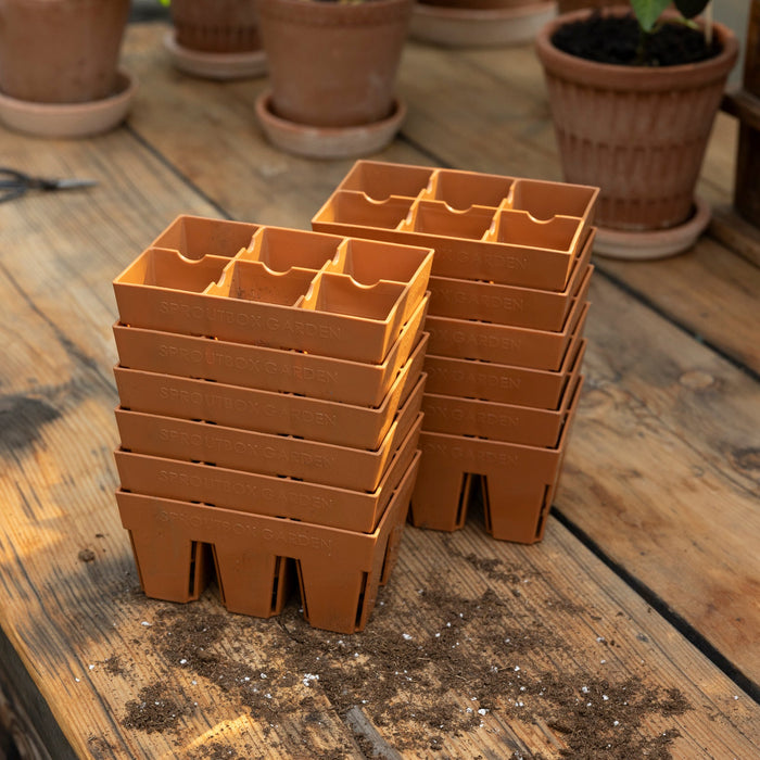 6-Cell Seed Starter Set