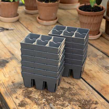 6-Cell Seed Starter Set