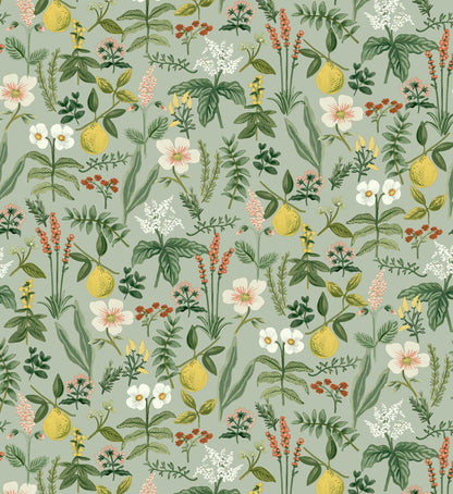 Herb Garden Peel & Stick Wallpaper Sample - Sage