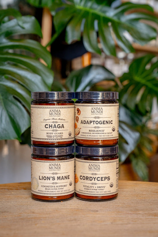 Four jars of different types of mushrooms on a wooden surface with plants in the background