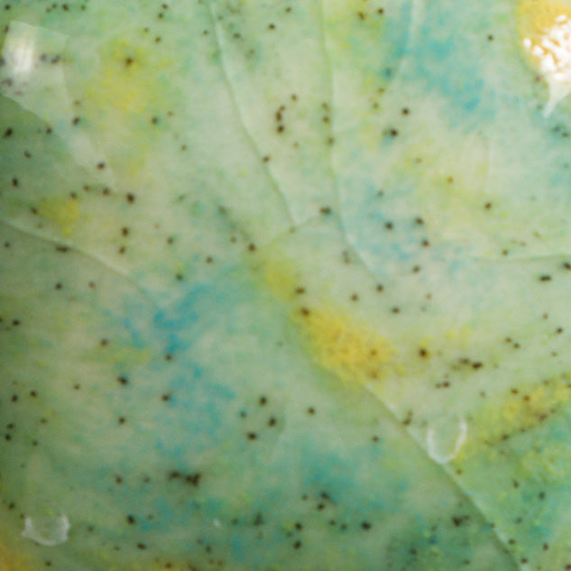 CG979 - Meadow