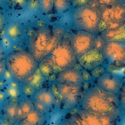 CG983 - Koi Pond
