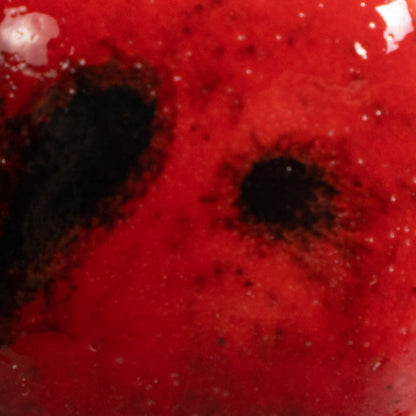CG984 - Ladybug