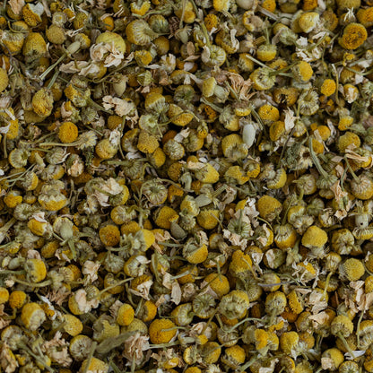 Close-up of dried chamomile flowers with yellow centers and green leaves.