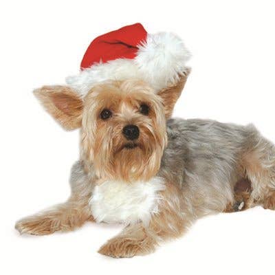 Dogo Pet - Santa Hat