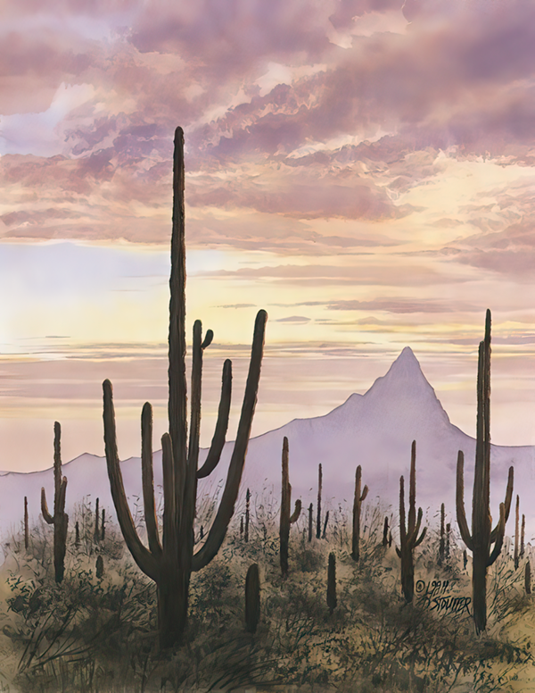 Desert Sunset - Plunkett's Hallmark