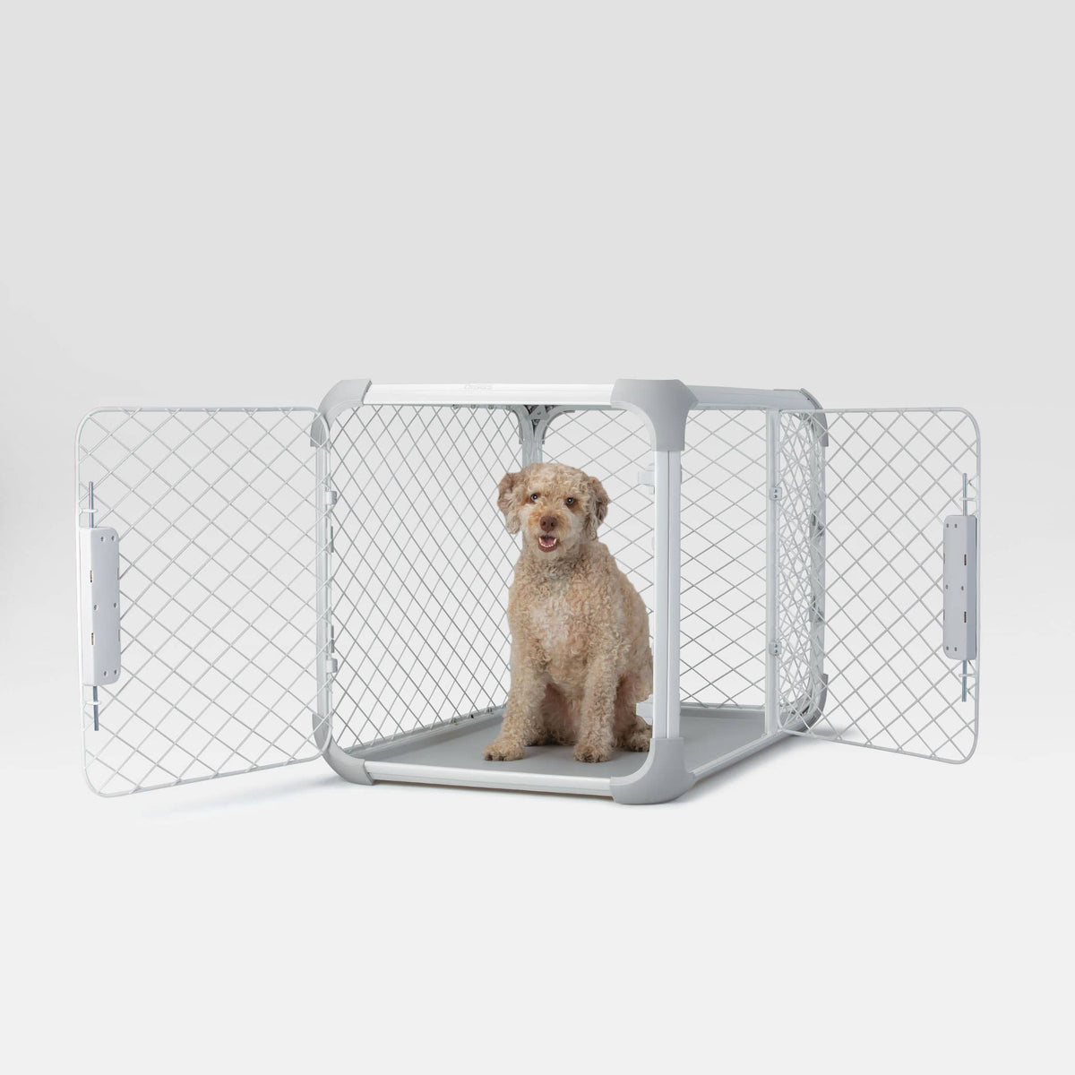 Diggs - Evolv Dog Crate
