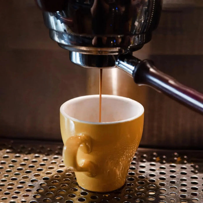 Devoción  ESPRESSO COFFEE BLEND BUNDLE