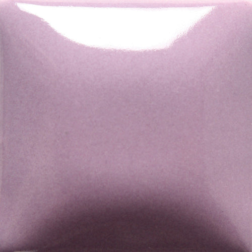 FN012 - Lavender Foundations