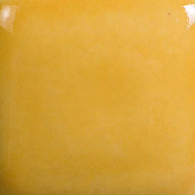 FN016 - Harvest Orange Foundation