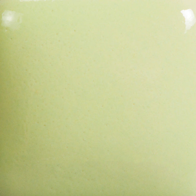 FN053 - Mint