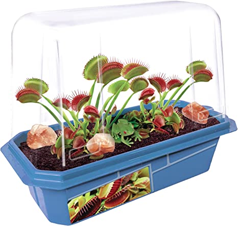 Frightening Fly Traps - Plunkett's Hallmark