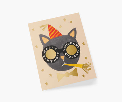 Birthday Cat Birthday Cards - Boxed Set