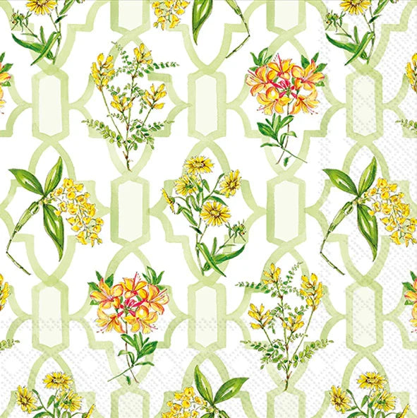 Green Trellis Cocktail Napkins