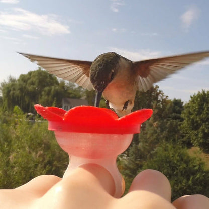 Hummer Ring