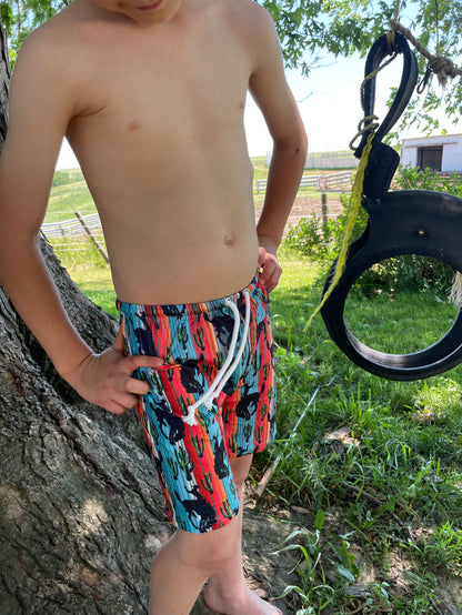 Bronc Serape YOUTH boy Shorts