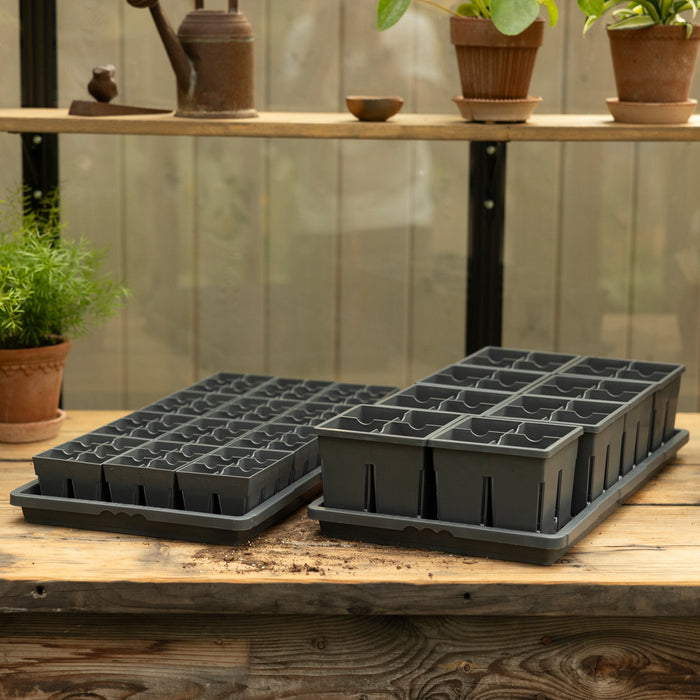 Two grey seedling trays on a wooden table with potted plants in the background.