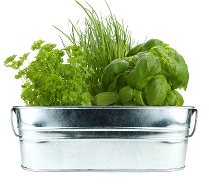 Kitchen Herb Grow Kit