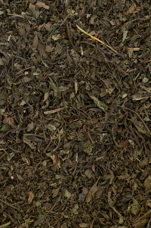 Close-up of dried green tea leaves