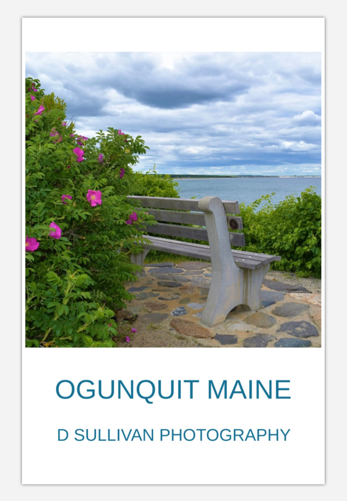 Marginal Way Bench 8 Poster