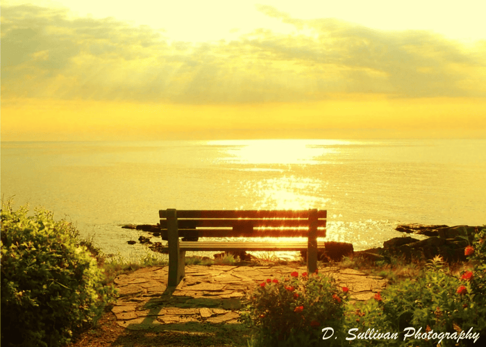 Marginal Way Sunrise Greeting Card