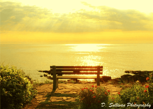 Marginal Way Sunrise Greeting Card