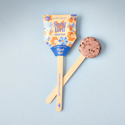 Modern Sprout Pollinator Seed Lollipops