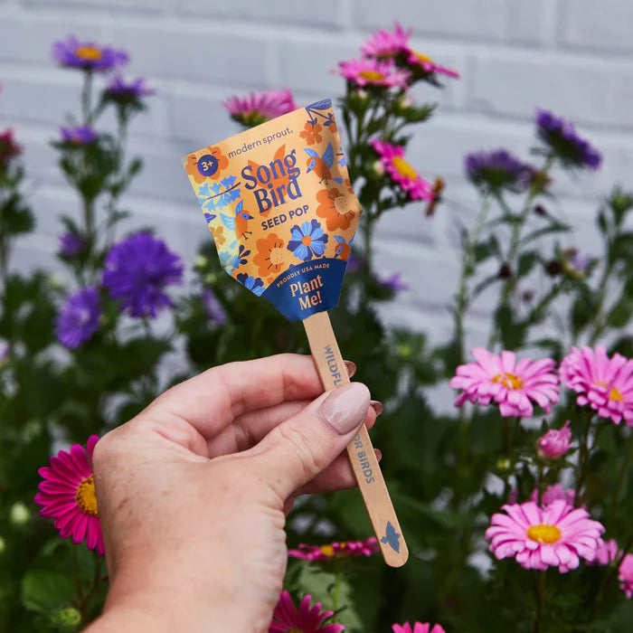 Modern Sprout Pollinator Seed Lollipops