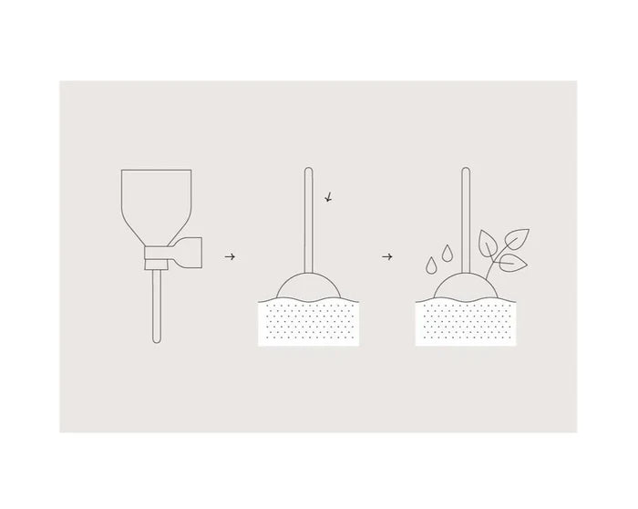 Modern Sprout Pollinator Seed Lollipops