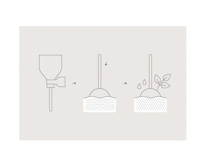 Modern Sprout Pollinator Seed Lollipops