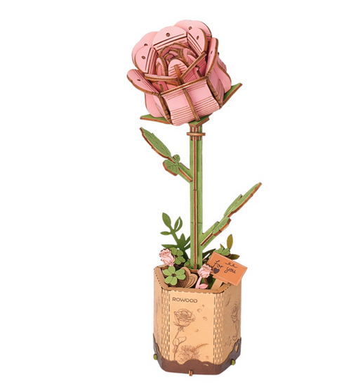 Pink Rose