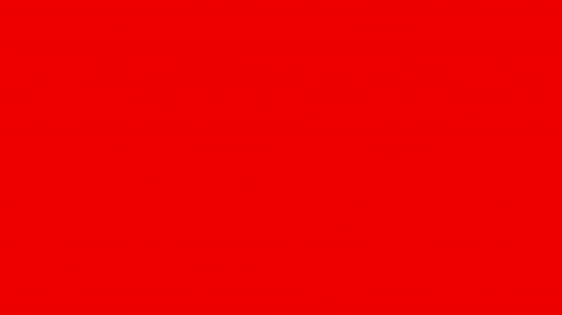 Red - Large Salt, Bass, Bully, Crabs