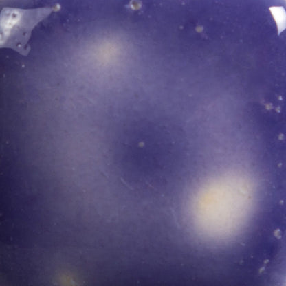 S2723 - Grape Divine