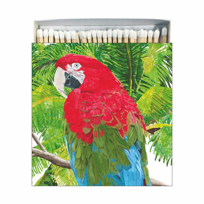 Salvador Matches, Square