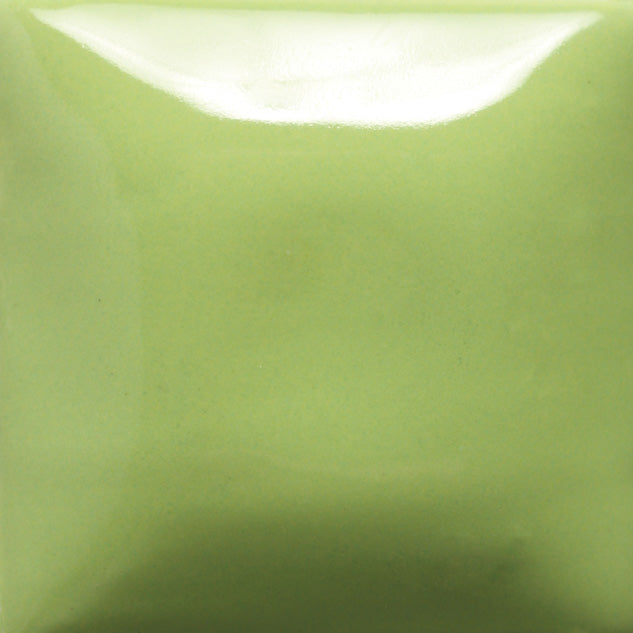 SC078 - Stroke & Coat® Lime Light