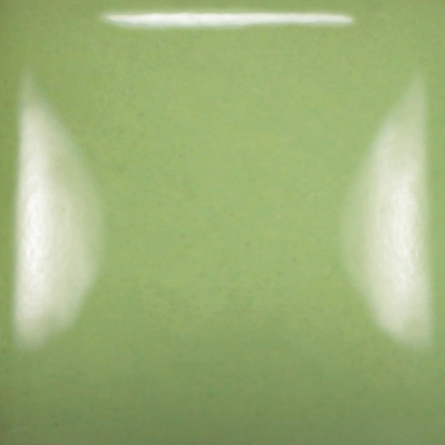 SC078 - Stroke & Coat® Lime Light
