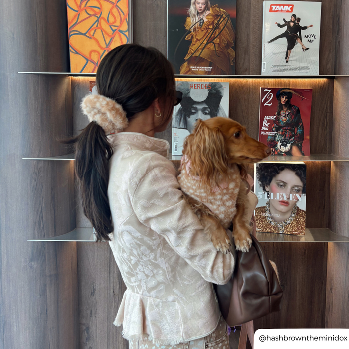 girl with dark hair in a ponytail has a fluffy fawn print scrunchie in her hair, holding a dachshund