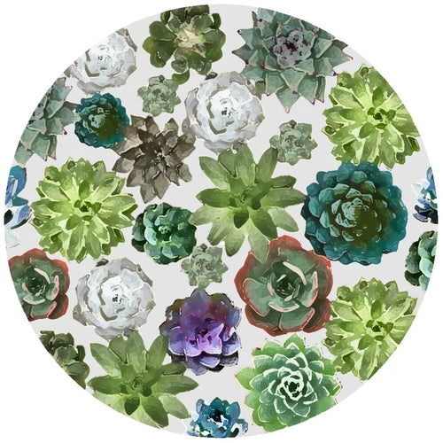 Silicone No-Slip Jar Openers - Succulents